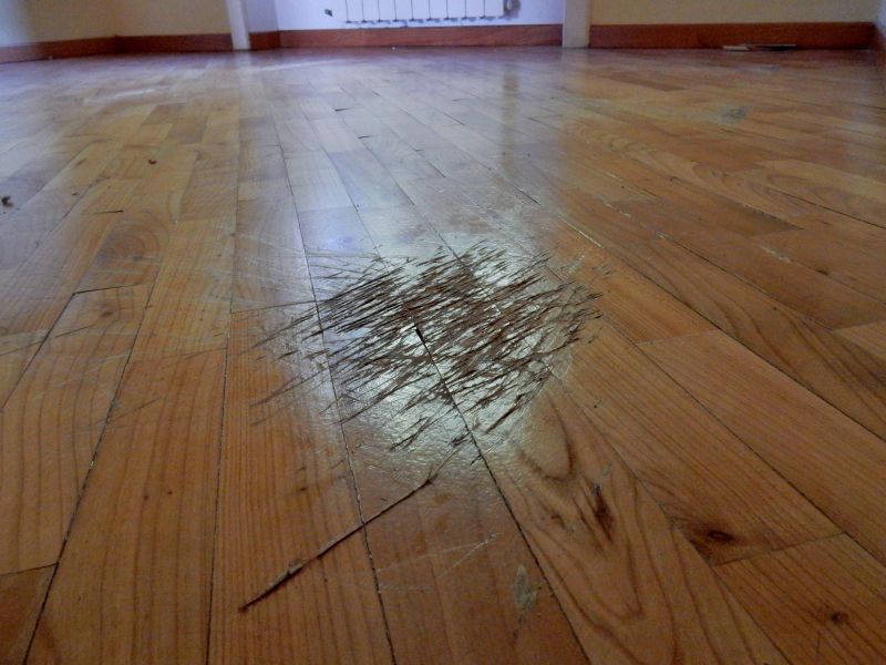 Floor Varnishing in Overland Park, KS